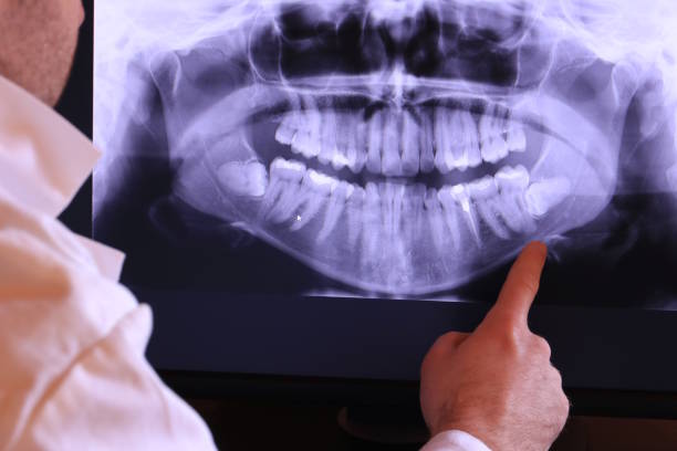 Best Emergency X-Rays and Diagnostics in Kamiah, ID